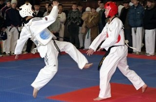 На татами сражались тхэквондисты