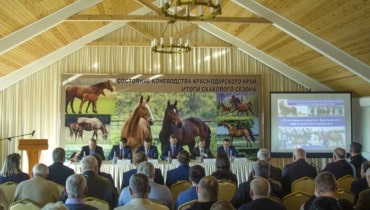 Итоги скакового сезона–2019 подвели в кубанском Минсельхозе