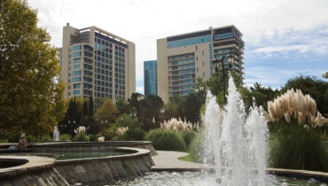 СПОРТИВНЫЕ КАДРЫ ДЛЯ СТРАН СНГ УЧАТСЯ В СОЧИ