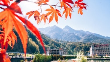 Точка роста. Туризм. Спорт. Инвестиции