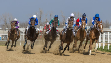 Павловский ипподром: всероссийское открытие скакового сезона 2019 года