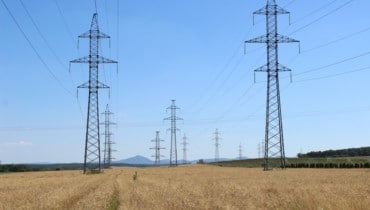 На Кубани к электросетям подключены 20 новых сельхозпредприятий