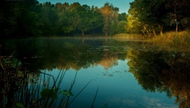 Вода не нефть – штраф за добычу не может быть равным