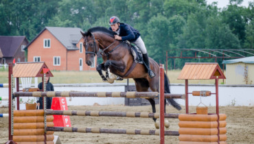 Кубанская станица примет чемпионат и первенство Южного федерального округа по конному спорту