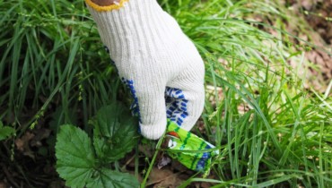 «Краснодар Водоканал» принял участие в Общероссийском субботнике