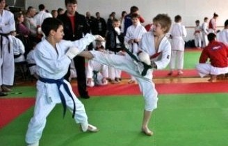 Медали кубанских каратистов