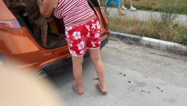 В Новороссийске живодерка привязала собаку к машине и таскала ее по городу