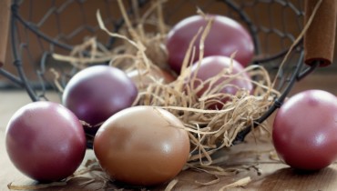 Как выбрать куриные яйца, рассказали специалисты