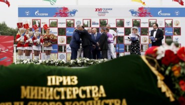 Жеребец агрохолдинга «Кубань» выиграл скачку на приз Министерства сельского хозяйства РФ