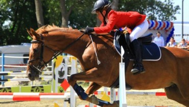 Соревнования по конкуру на приз ЗСК состоятся в Динском районе в конце сентября