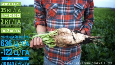 Инновационные продукты «ЕвроХима» для эффективного агробизнеса