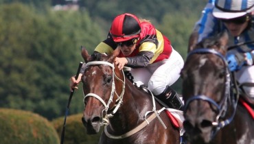 Скачки ко Дню защиты детей проведут на Краснодарском ипподроме