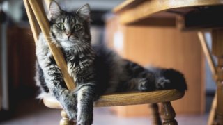 Из российских магазинов исчезнет дешевая мебель