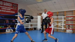 В станице Старовеличковской Калининского района открыли зал бокса