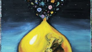 В Краснодаре открылась выставка работ студентов КубГУ ScienceArt