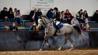 Каждой лошади — свой танец