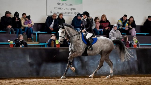 Каждой лошади — свой танец
