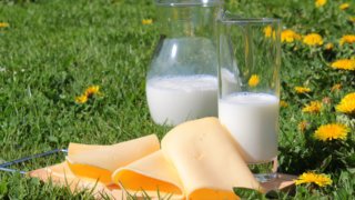 Производители молочной продукции на Кубани исключили дефицит товаров