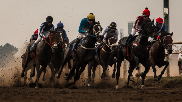 На Краснодарском ипподроме откроют скаковой сезон