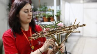 Краснодарский край стал четвертым в стране по количеству самозанятых