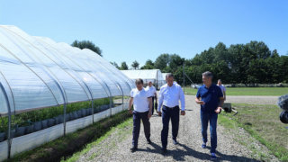 Производители органической продукции смогут рассчитывать на субсидию