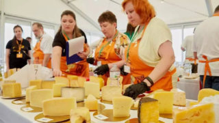 На конкурсе “Лучший сыр России – 2022” кубанские производители стали лучшими