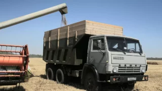 В краснодарской администрации рассказали об итогах уборочной компании