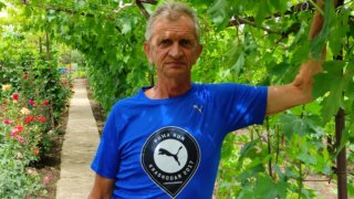 Фермер из Северского района Михаил Глушков рассказал о своем опыте выращивания винограда