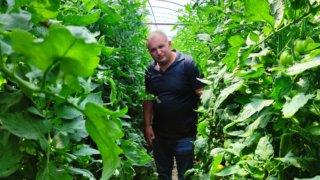 Фермер из Тимашевского района Евгений Мироныч рассказал об успехах в сельском хозяйстве