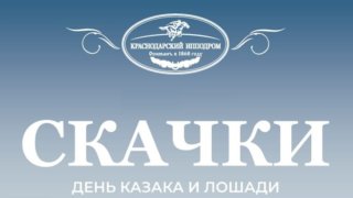 На Краснодарском ипподроме пройдут скачки в честь Дня Казака и Лошади