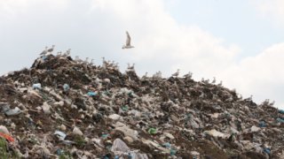 Глава Красноармейского района обратился в суд, чтобы закрыть полигон ТКО в станице Полтавской