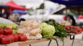 На Кубани за лето фермеры реализовали 3000 тонн продукции