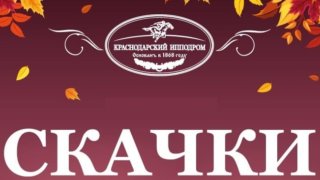 На Краснодарском ипподроме 10 сентября пройдут скачки
