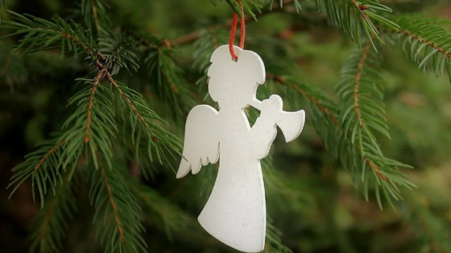 Кубанские общественники поддержали решение об отмене массовых новогодних мероприятий