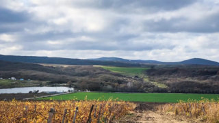 “Абрау-Дюрсо” признана лучшей в рейтинге Top100Wines