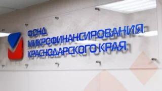 С начала года бизнесмены Краснодара получили более 200 займов