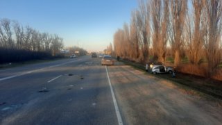 На Кубани девушка на «Опеле» врезалась в дерево после столкновения с «Тойотой»