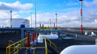 За 2022 год АО «Черномортранснефть» провело почти 100 тысяч экологических исследований