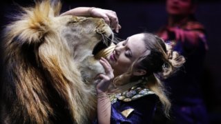 Укрощение строптивого