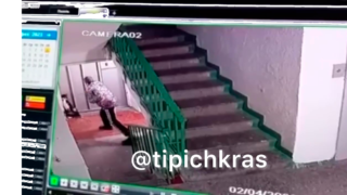 В Новороссийске человек с ножом напал на собаку