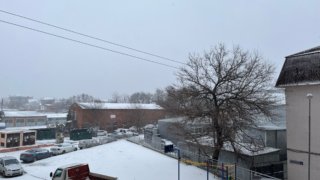 В Краснодаре 7-го февраля выпал первый снег