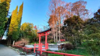 Сочинский «Дендрарий» продлевает часы работы