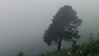 На Кубани объявлено штормовое предупреждение