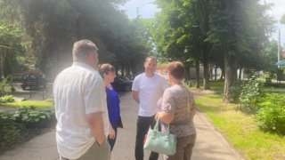 В Краснодаре определили новые места для высадки деревьев