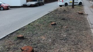 Депутат ЗСК обсудил с жителями своего округа благоустройство общественных территорий
