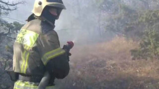 В Геленджике пожарные борются сразу с несколькими лесными пожарами