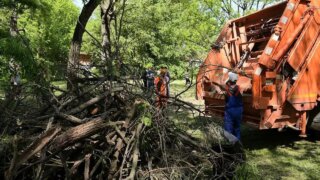 В Краснодаре в преддверии дня города проведут генеральную уборку