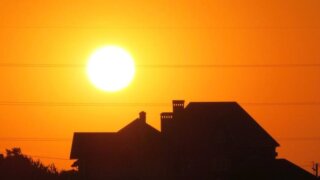 Засуха ударила по урожаю винограда на Кубани