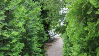 Синоптики обещают на выходных на Кубани +31