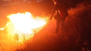 Пожарные Новороссийска всю ночь боролись с лесным пожаром